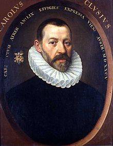 220px-Carolus_Clusius00