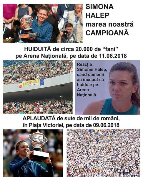colaj-halep-psd-facebook