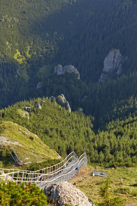 Record în România, Județul Neamț. Scara care urcă spre cer QMagazine (4)