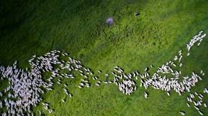 best-drone-photography-2016-dronestagram-contest-3-5783ac79c0313  880