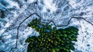 best-drone-photography-2016-dronestagram-contest-8-5783ac87ae38c  880